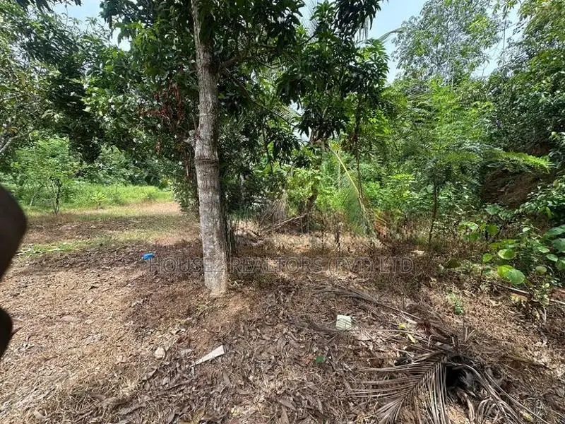 60 Perches Prime Land for Sale in Piliyandala ( Property Id - L2603)