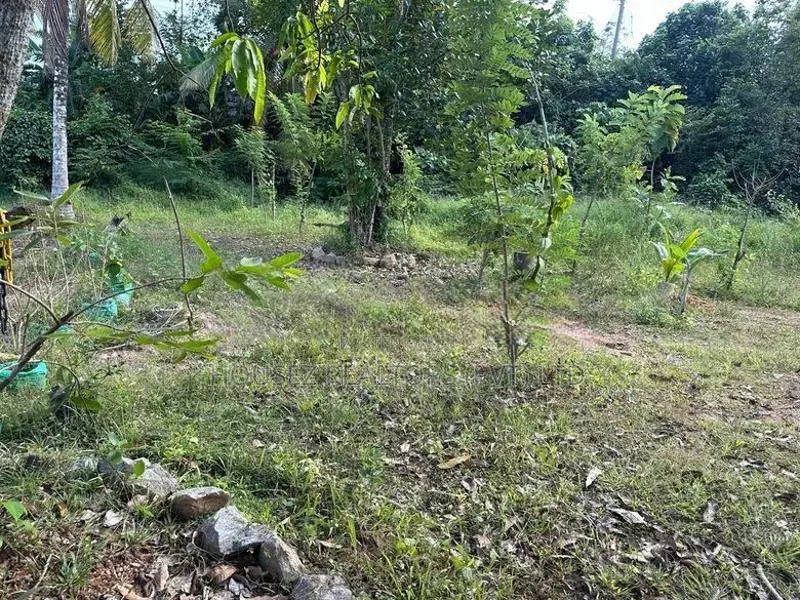 60 Perches Prime Land for Sale in Piliyandala ( Property Id - L2603)