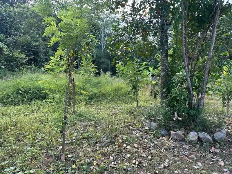 60 Perches Prime Land for Sale in Piliyandala ( Property Id - L2603)