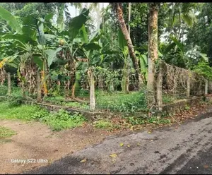 Valuable Land for Sale in Gampaha 🌳