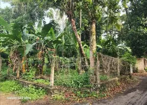 Valuable Land for Sale in Gampaha 🌳