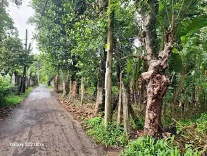 Valuable Land for Sale in Gampaha 🌳