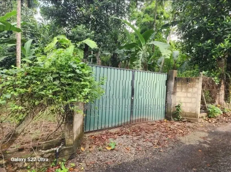 Valuable Land for Sale in Gampaha 🌳