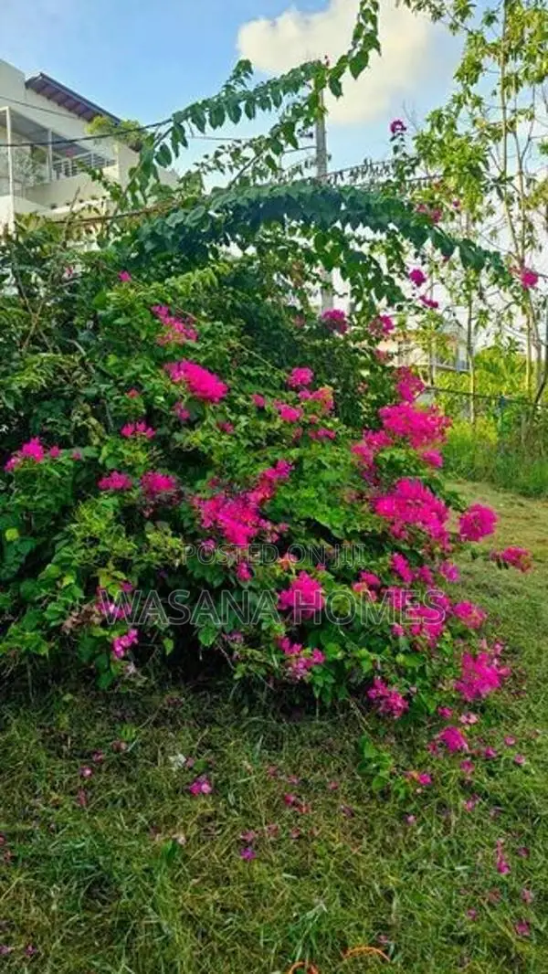 Super Land for Sale Kottawa