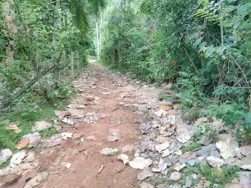 Land for Sale – Angunakolapelessa Town, Hambantota