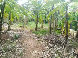 Land for Sale – Angunakolapelessa Town, Hambantota