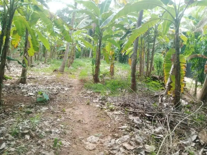 Land for Sale – Angunakolapelessa Town, Hambantota
