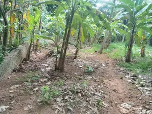 Land for Sale – Angunakolapelessa Town, Hambantota