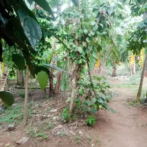 Land for Sale – Angunakolapelessa Town, Hambantota