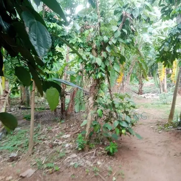 Land for Sale – Angunakolapelessa Town, Hambantota