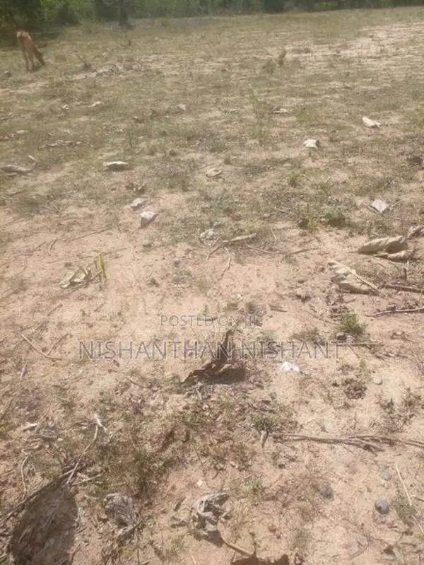 Land for Sale Mattakalappu
