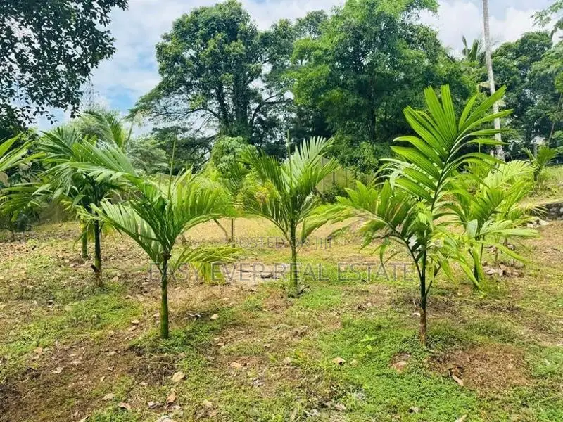 නිට්ටබුව – හුබිටියාව ප්‍රදේශයෙන් වගා කළ ඉඩමක් / KR 10119