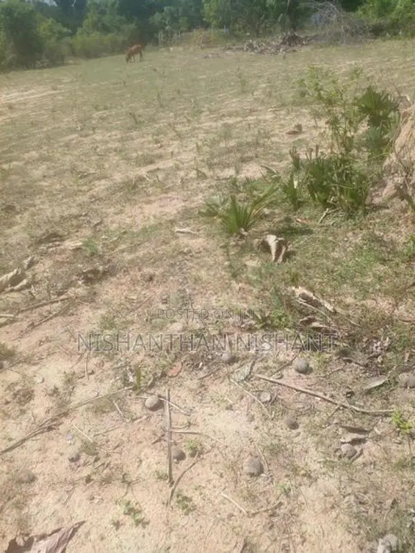 Land for Sale Mattakalappu