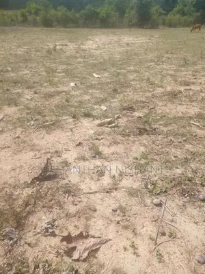 Land for Sale Mattakalappu