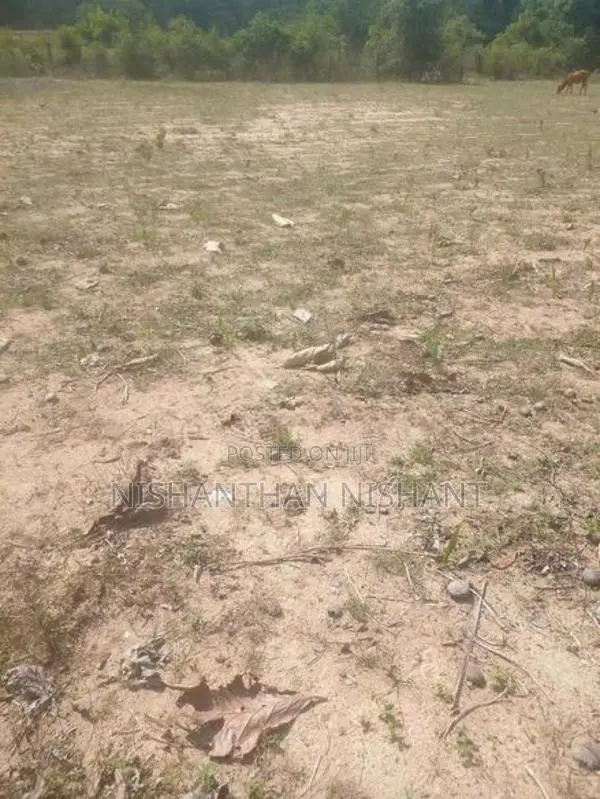 Land for Sale Mattakalappu