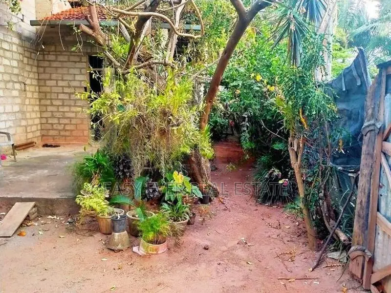 මාරවිල නාත්තන්ඩිය අතර වටිනා නිවසක් සමග ඉඩමක් / DU 16049