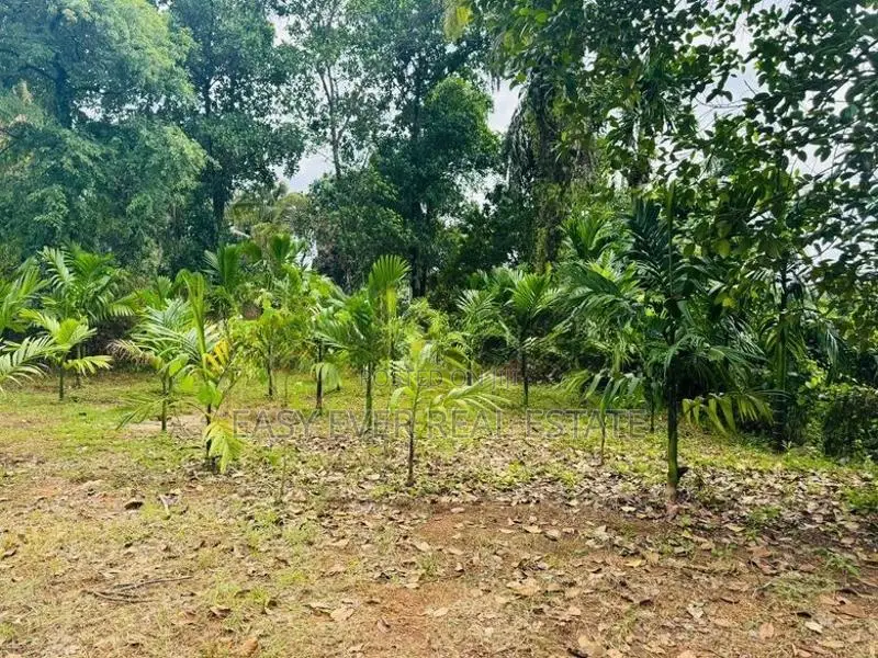 නිට්ටබුව – හුබිටියාව ප්‍රදේශයෙන් වගා කළ ඉඩමක් / KR 10119