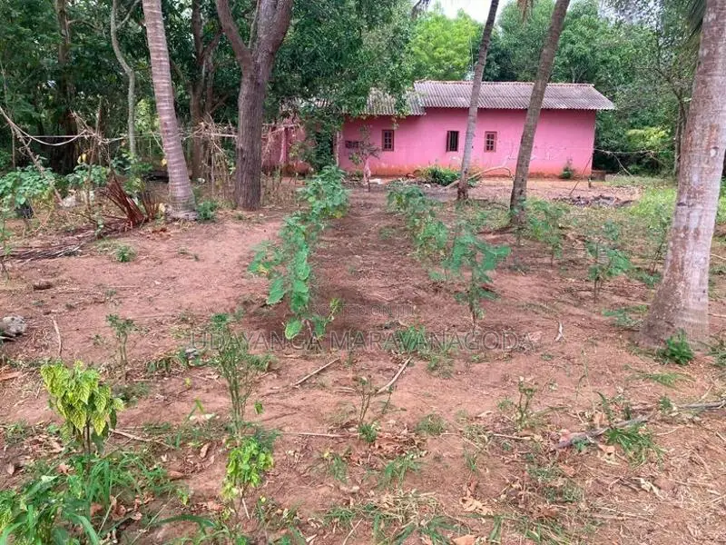 Land for Sale in Anuradhapura