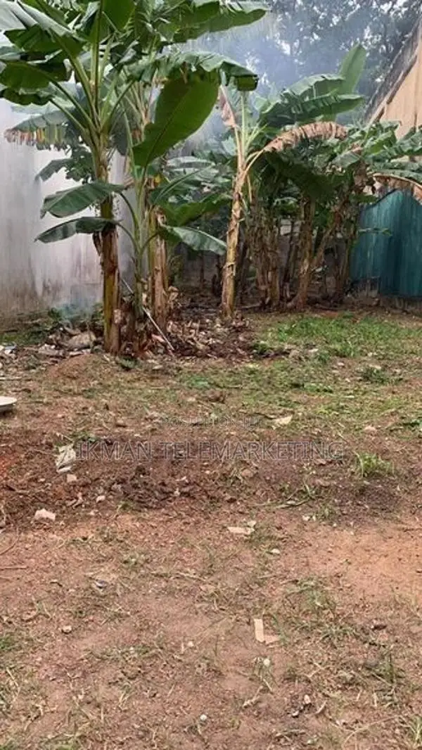Land for Sale in Pita Kotte