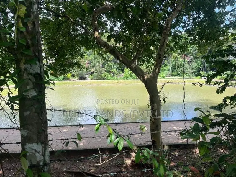 Gampaha Town Area Land for Sale