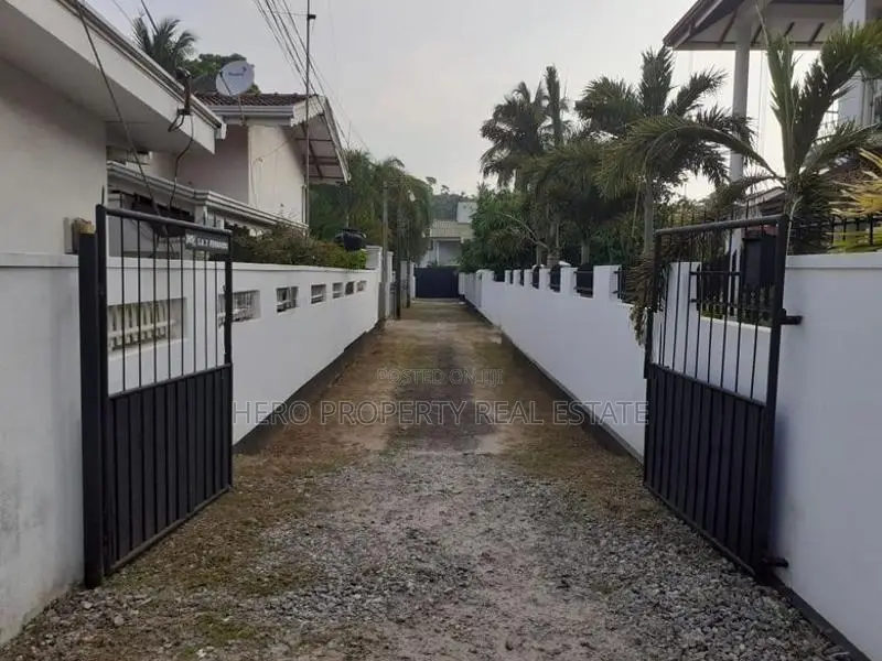 Valuable Land for Sale in Dalupotha