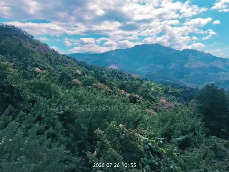 Land for Sale Ella