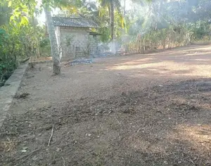 Land for Sale in Wadduwa