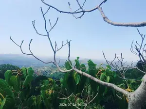 Land for Sale Ella