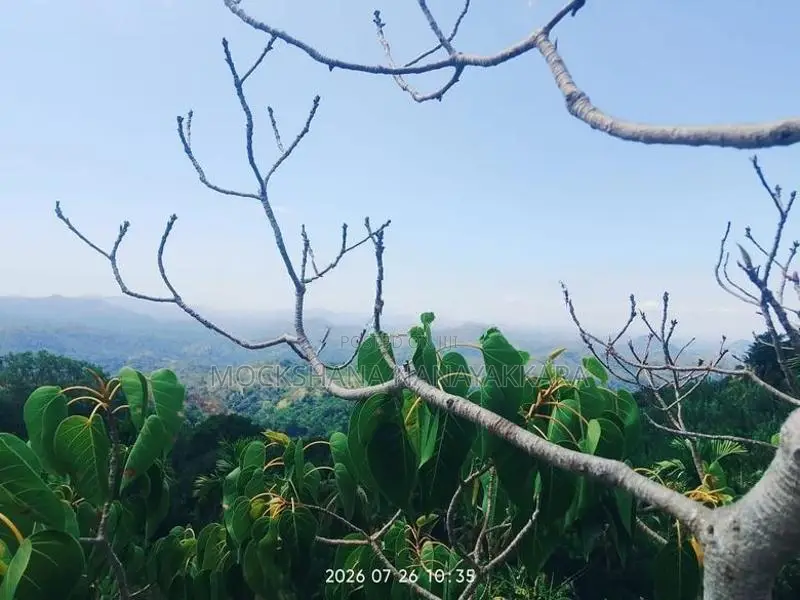 Land for Sale Ella