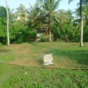 Land for Sale in Wadduwa