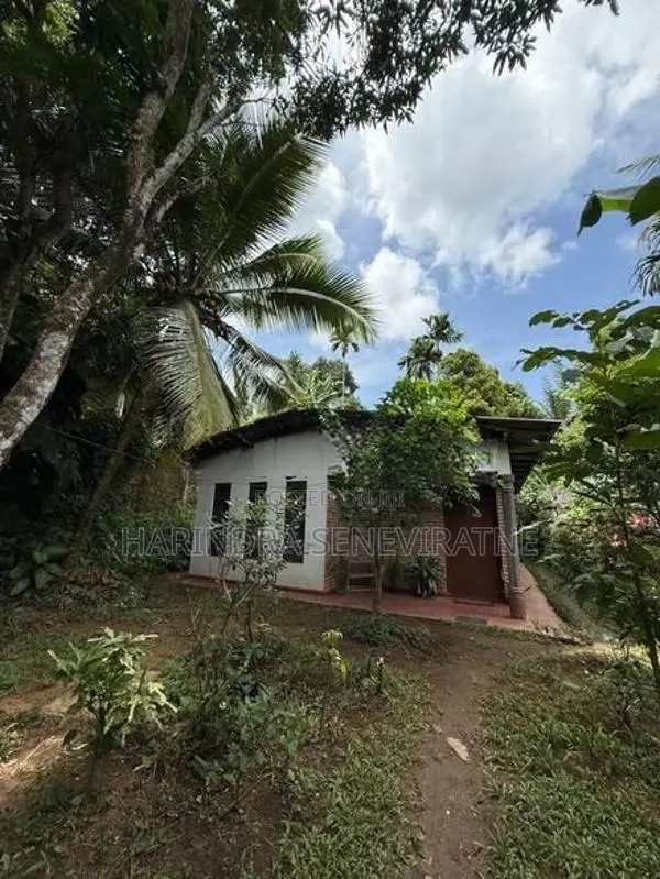 Weligalla House for Rent.