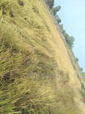 Land for Sale Batticaloa