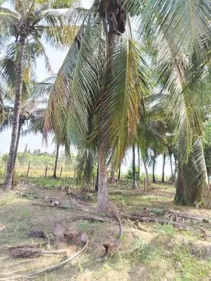 Land for Sale Batticaloa