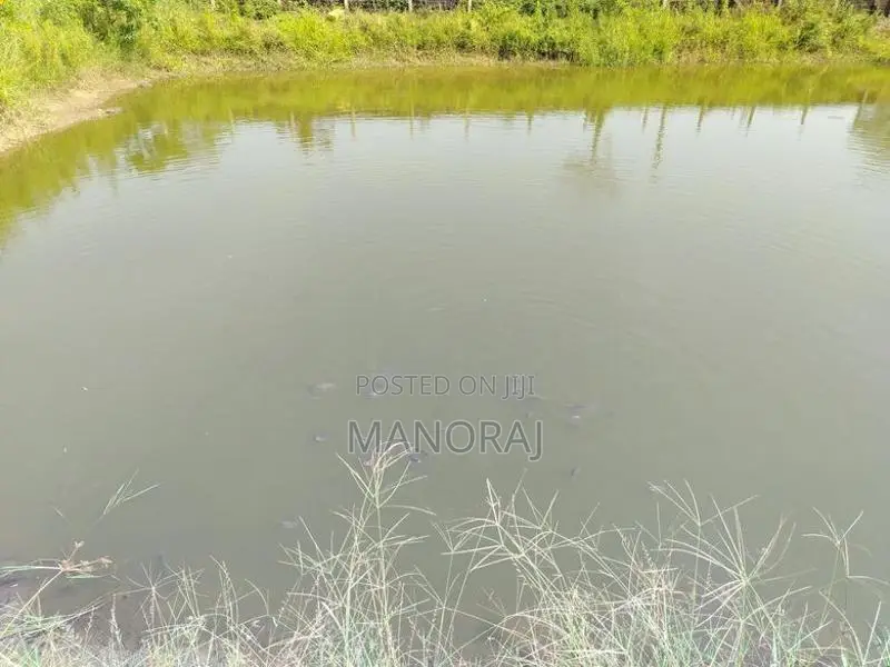 Land for Sale Batticaloa