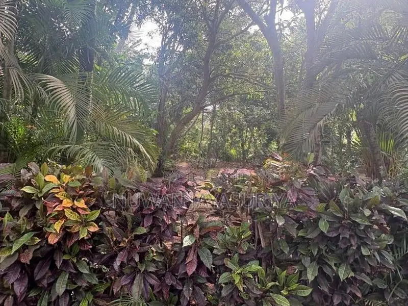 Land for Sale in Hikkaduwa