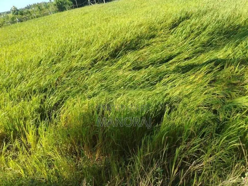 Land for Sale Batticaloa