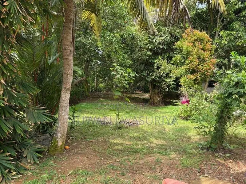 Land for Sale in Hikkaduwa