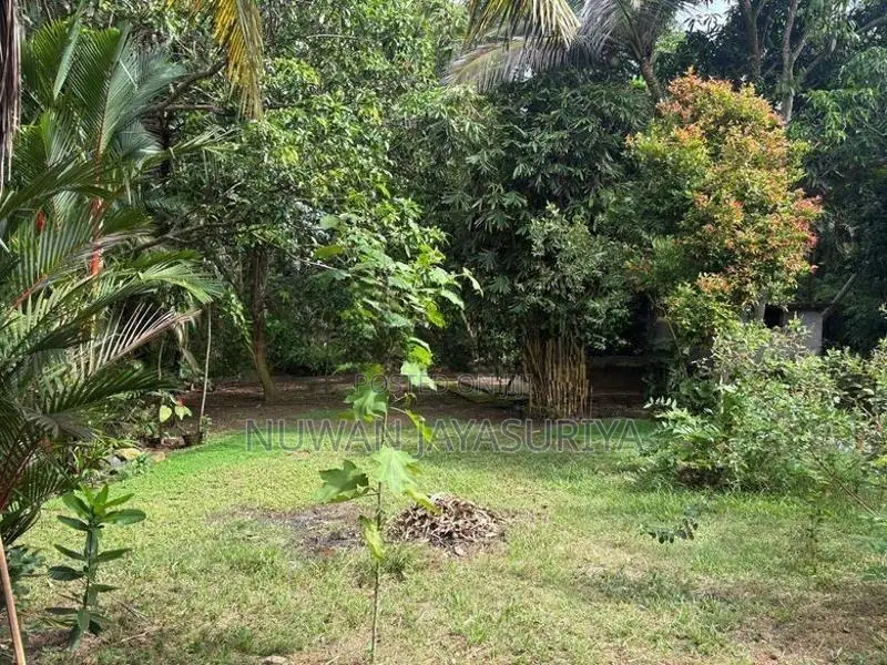 Land for Sale in Hikkaduwa