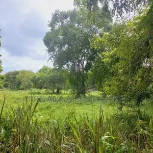 Land for Sale in Anuradhapura