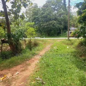 Land for Sale in Anuradhapura