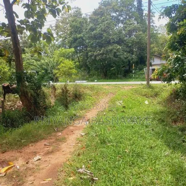 Land for Sale in Anuradhapura