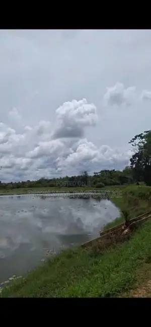 Land for Sale in Anuradhapura