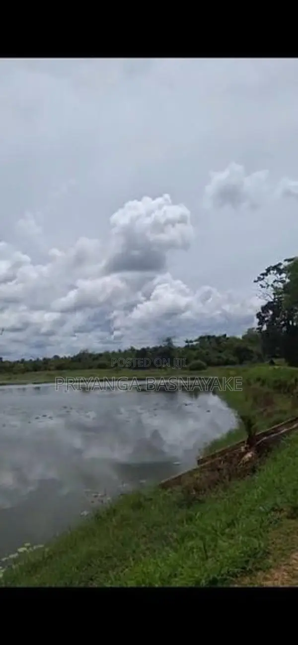 Land for Sale in Anuradhapura