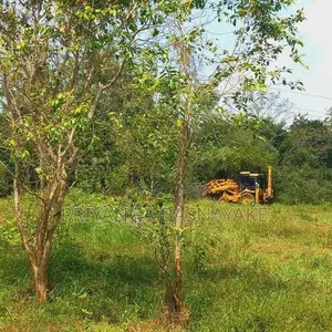 Land for Sale in Anuradhapura