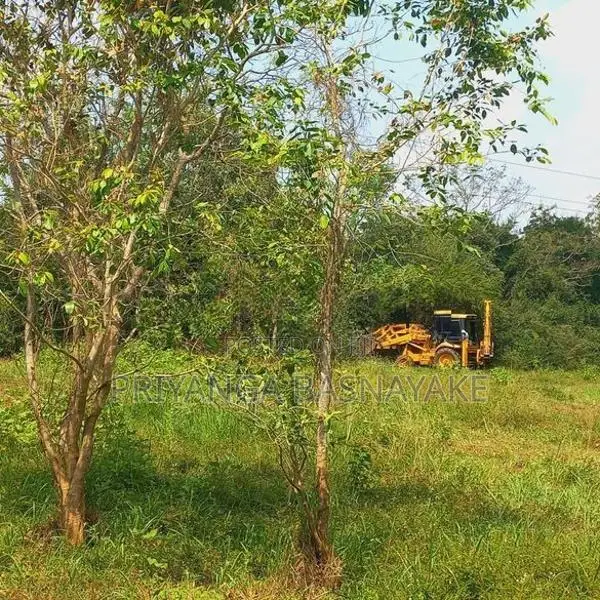 Land for Sale in Anuradhapura