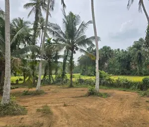 Veyangoda සුන්දර වෙල්යායකට පිහිටා ඇති ඉඩම ඉතා ඉක්මනින් විකිණීමට ඇත.