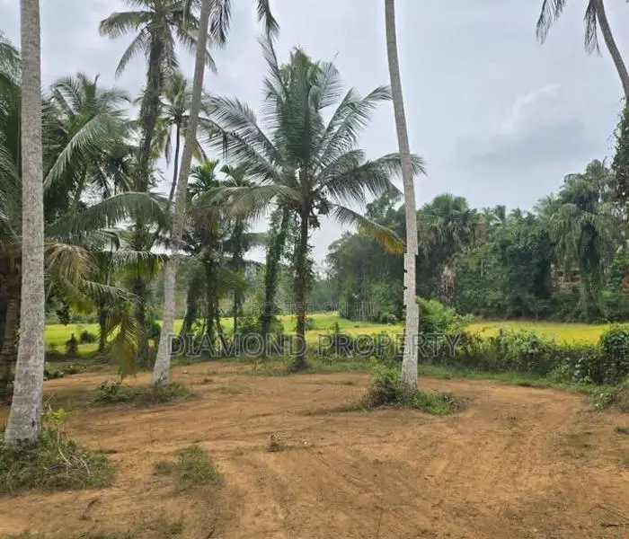 Veyangoda සුන්දර වෙල්යායකට පිහිටා ඇති ඉඩම ඉතා ඉක්මනින් විකිණීමට ඇත.