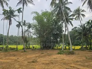 Veyangoda සුන්දර වෙල්යායකට පිහිටා ඇති ඉඩම ඉතා ඉක්මනින් විකිණීමට ඇත.