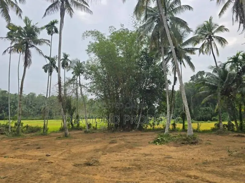 Veyangoda සුන්දර වෙල්යායකට පිහිටා ඇති ඉඩම ඉතා ඉක්මනින් විකිණීමට ඇත.