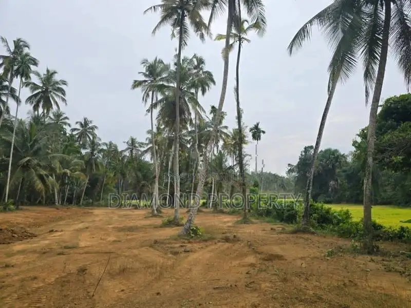 Veyangoda සුන්දර වෙල්යායකට පිහිටා ඇති ඉඩම ඉතා ඉක්මනින් විකිණීමට ඇත.